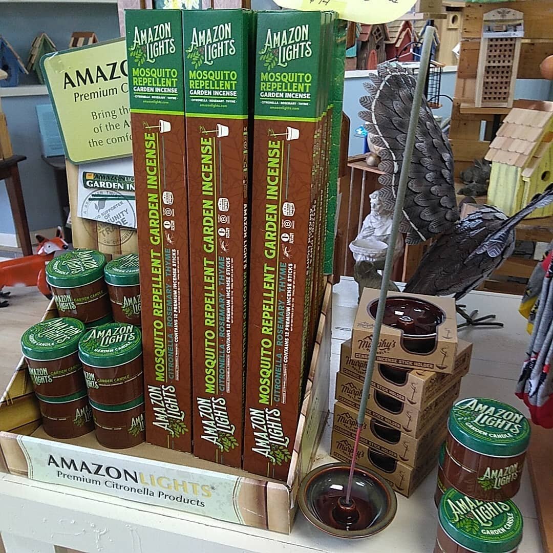 Amazon lights insect repellent incense sticks and candles are back in stock! We are now carrying a ceramic holder for the sticks as well! 
@murphysnaturals

#amazonlights #murphysnaturals #insectrepellent #mosquitorepellent #incensesticks #summeresse
