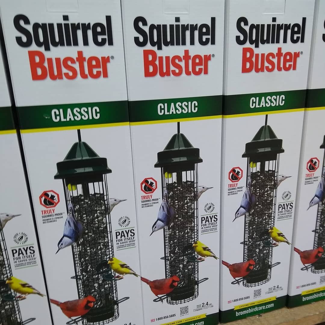 Squirrel Buster Classic feeders are back in stock! These are one our favorite squirrel proof feeders! @bromesquirrelbuster 

#bromebirdcare #squirrelbuster #squirrelproof #feedthebirdsnotthesquirrels #giftideasatthewoodthrush #feedthebirds