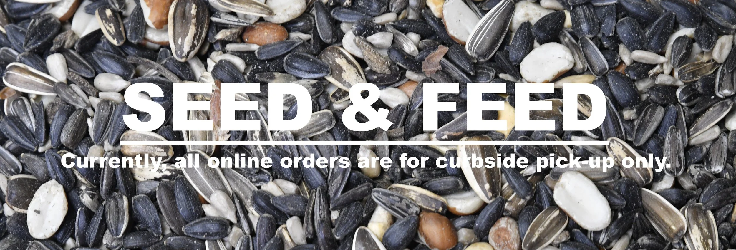 seedfeedbanner.jpeg