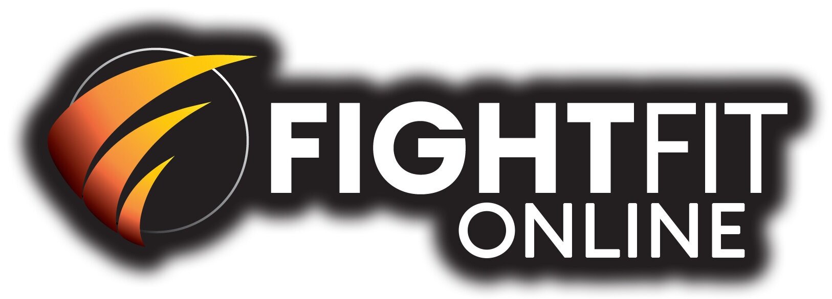 Online MMA Classes — FightFit Personal Trainers