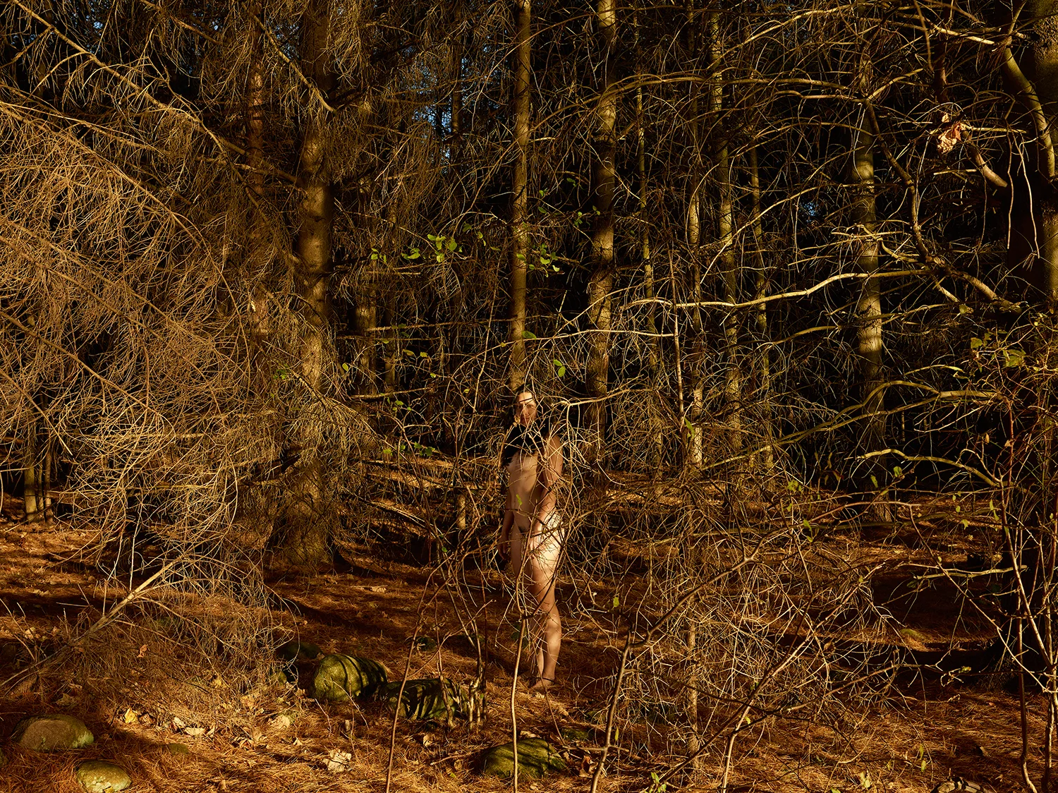 Up North , 2013 22 x 16 1⁄2 inches, unframed 24 1⁄2 x 19 inches, framed Archival Inkjet Print Edition of 5