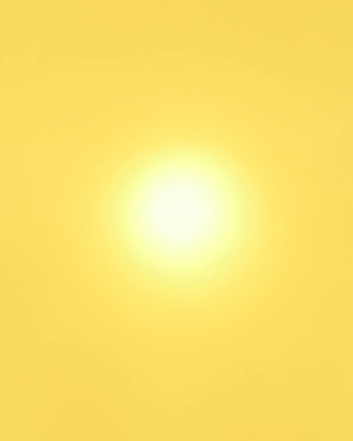 Laura Hart Newlon Sunspot, 2013 Archival inkjet print, framed 24 x 30 inches