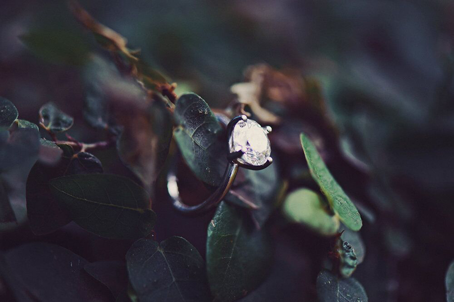 Wedding Ring, Hawaii, Photography