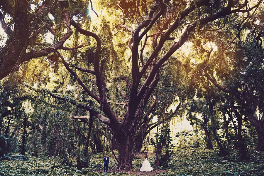 Ceremony, Bride and Groom, Wedding, Wedding Day