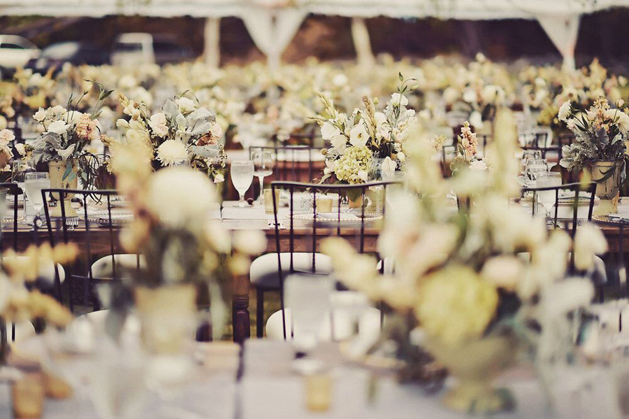 Wedding, Wedding Reception, Reception