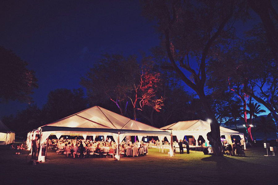 Wedding, Wedding Day, Wedding Reception