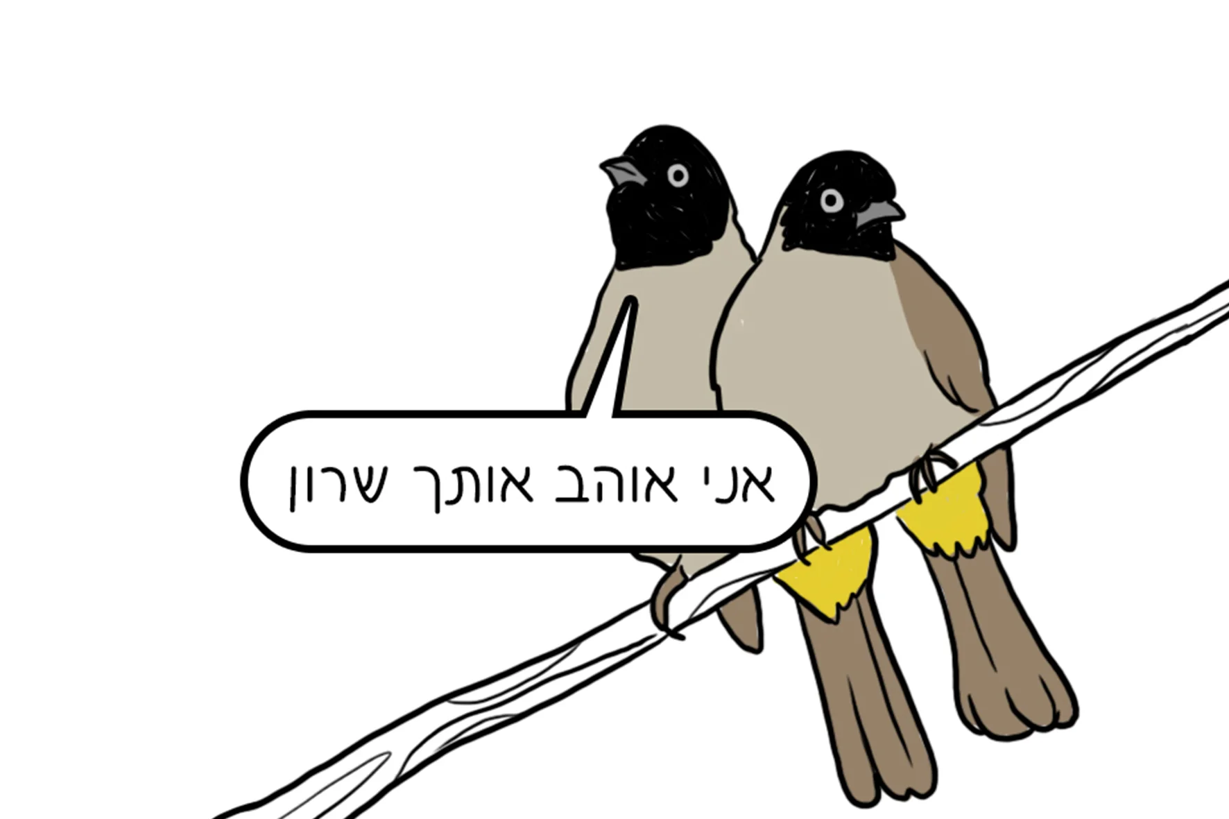 1.jpg