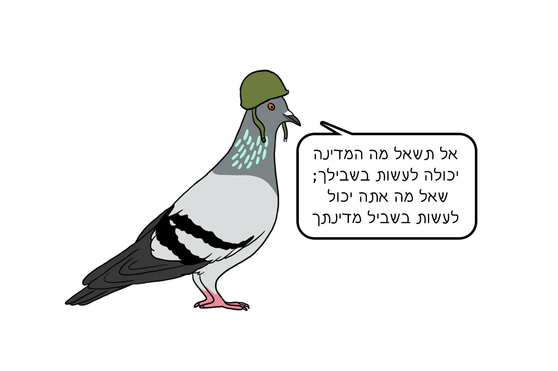 23.jpg