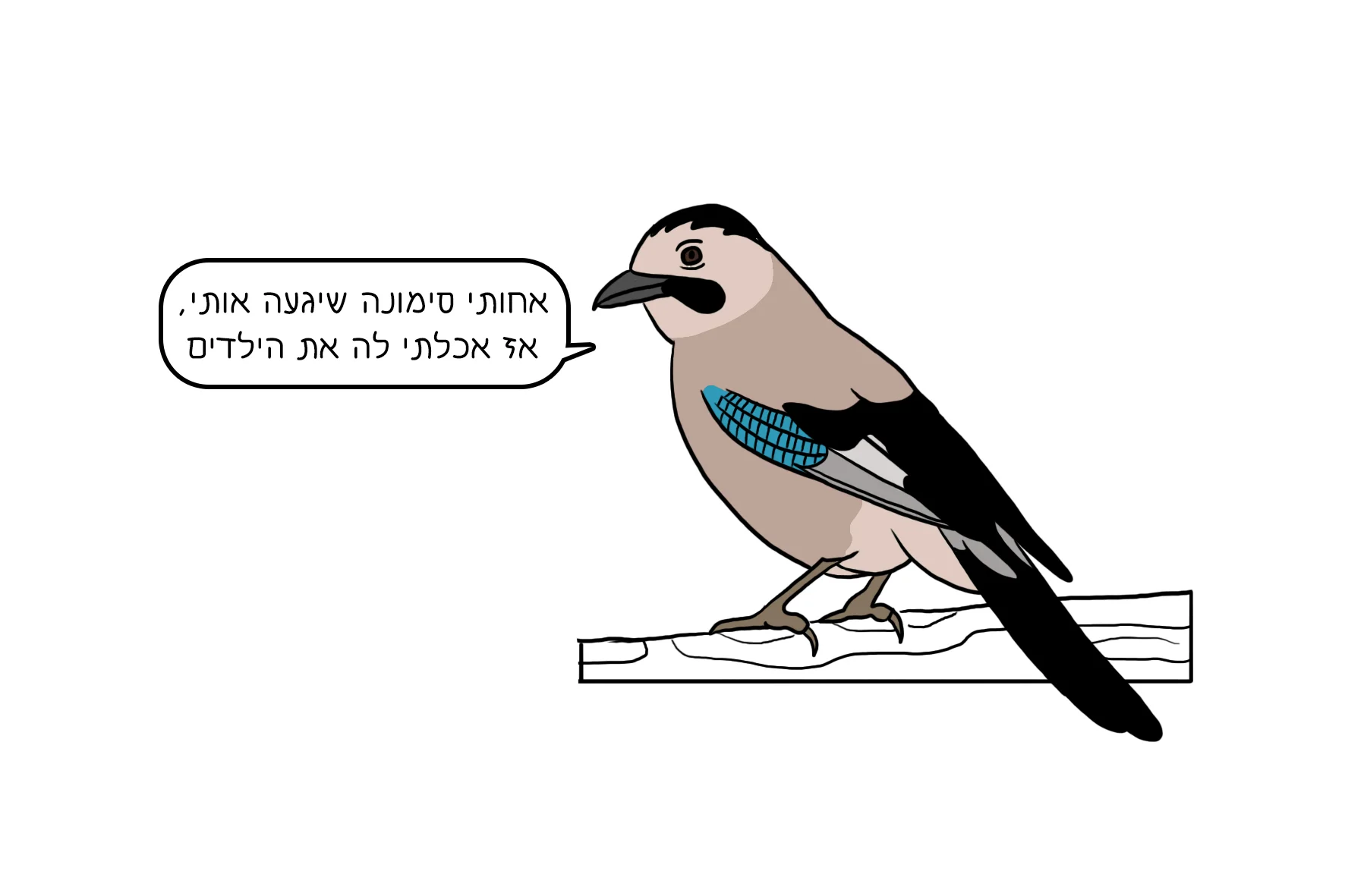 31.jpg