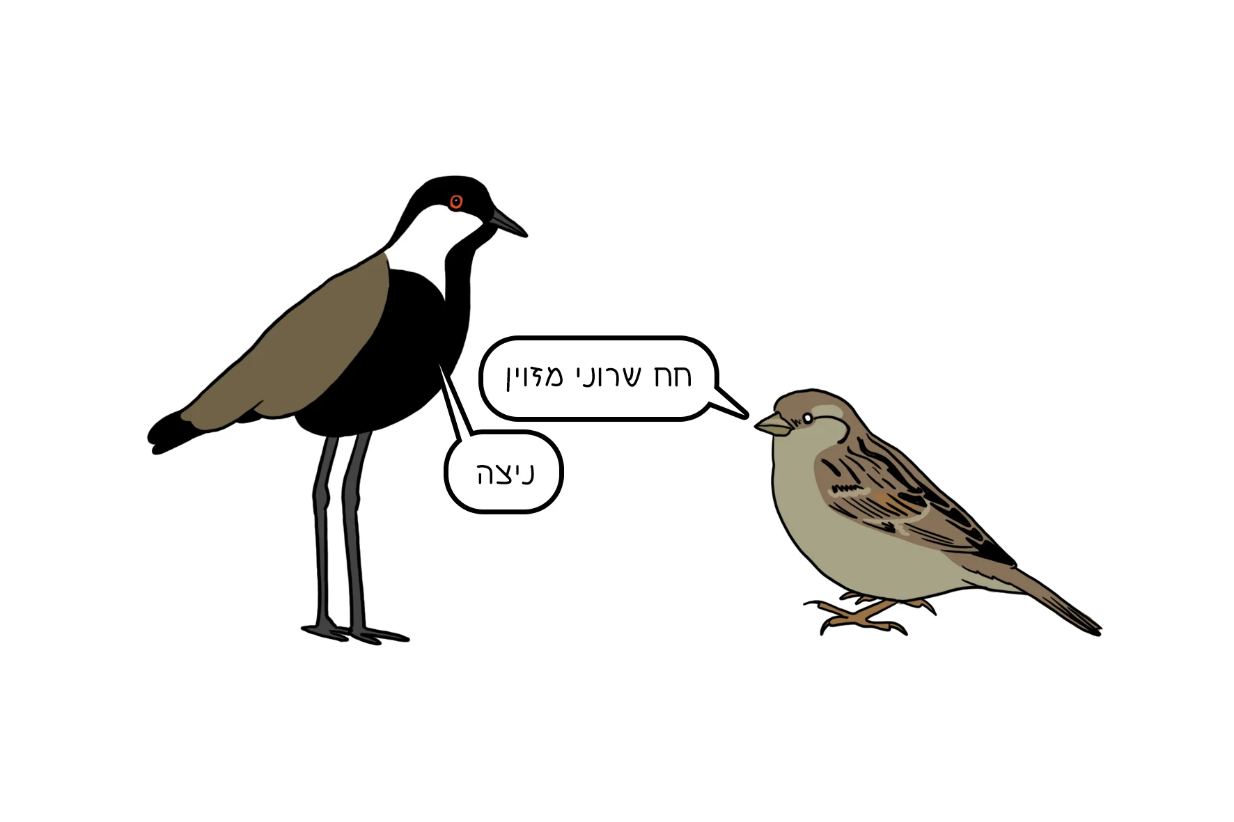 36.jpg