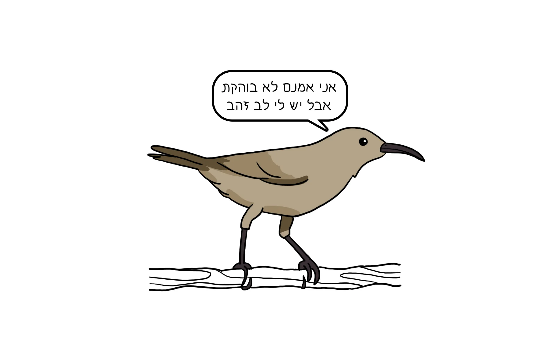39.jpg
