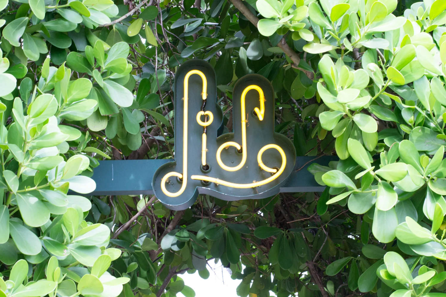 lido.jpg