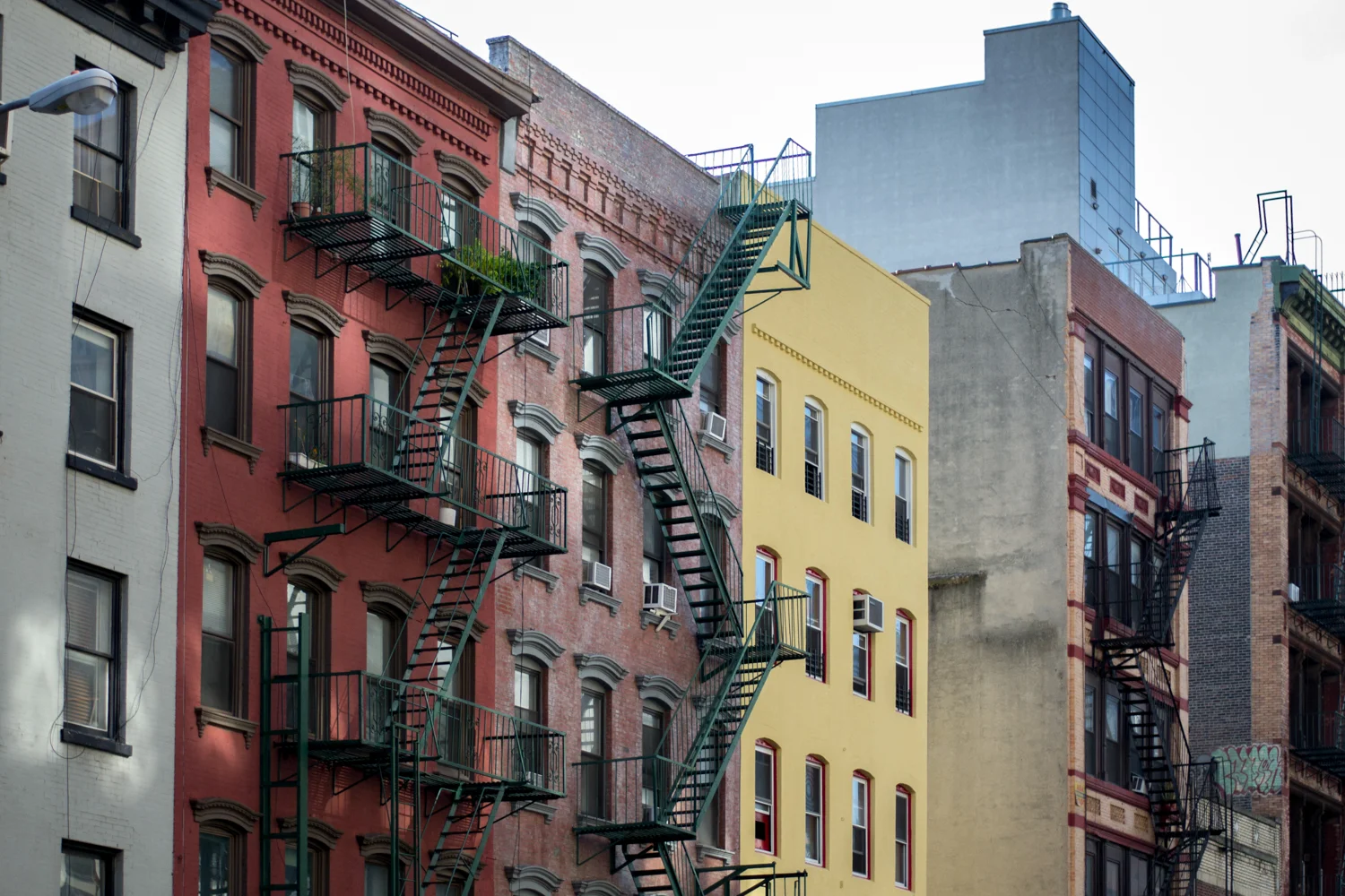nyc2 (1 of 1).jpg