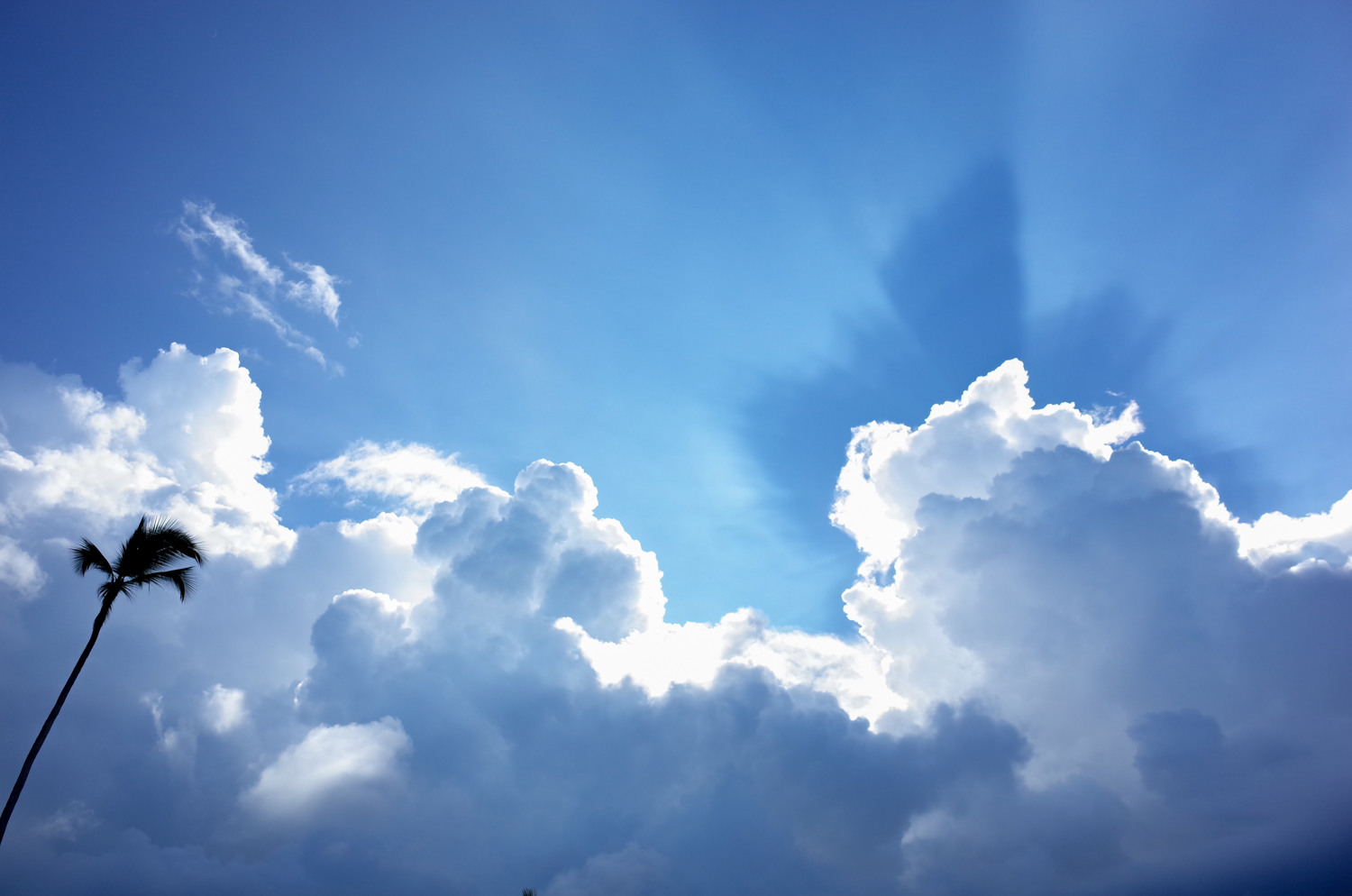 Forget about summer! Use the gloomy days to find ways to make changes for the better. 
