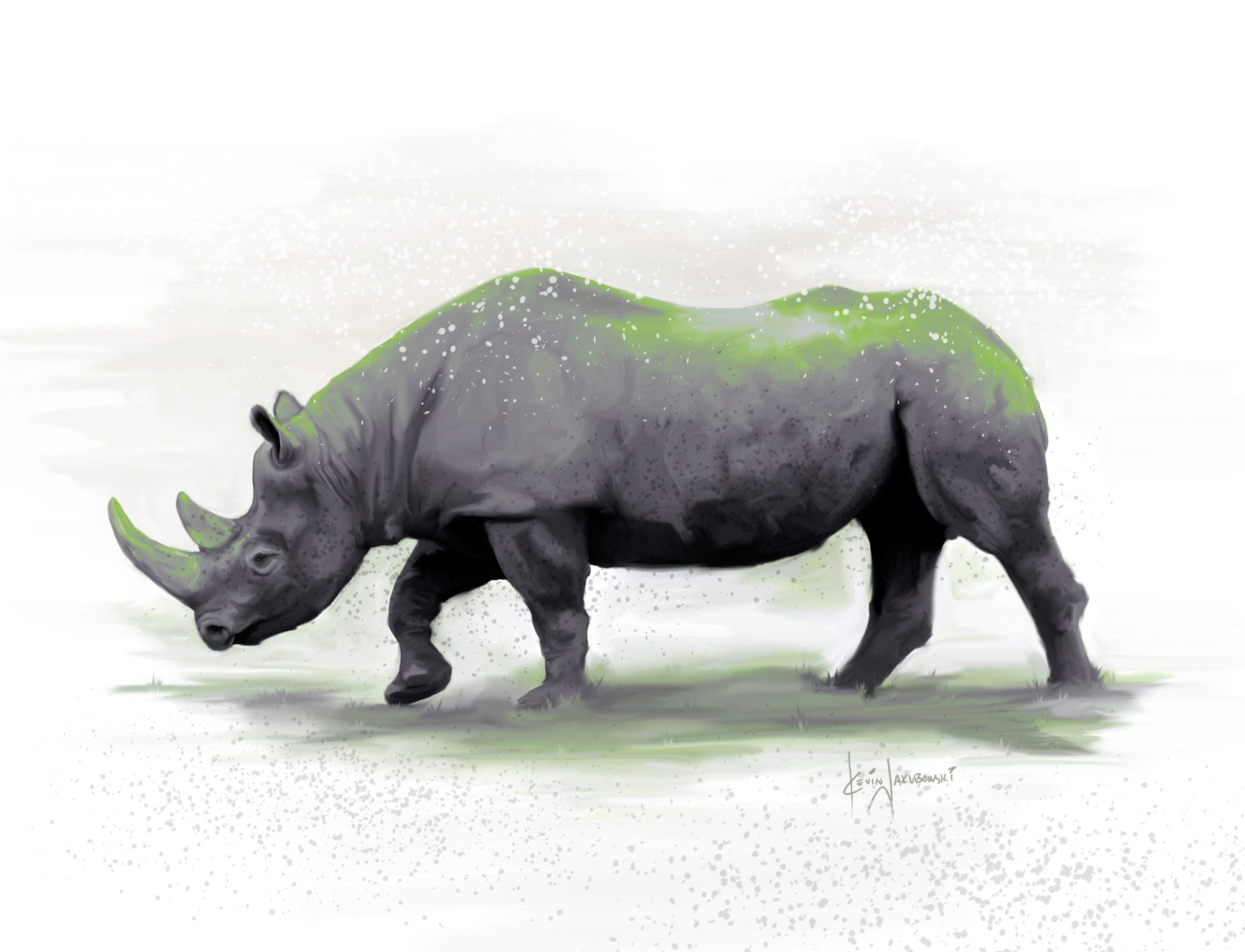 Rhino-2000px.JPG