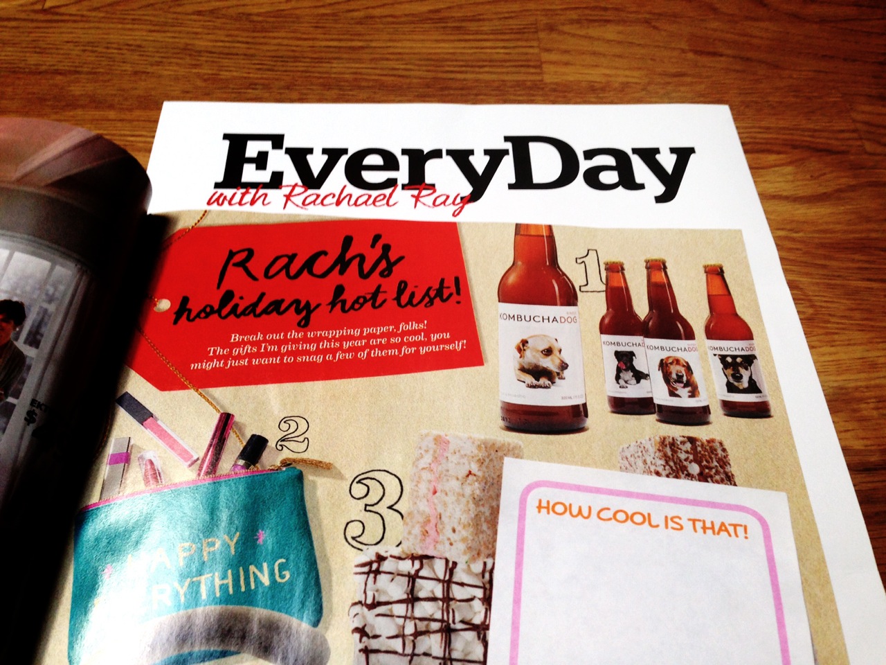 Rachael Ray Chose Kombucha Dog as Her #1 Holiday Gift