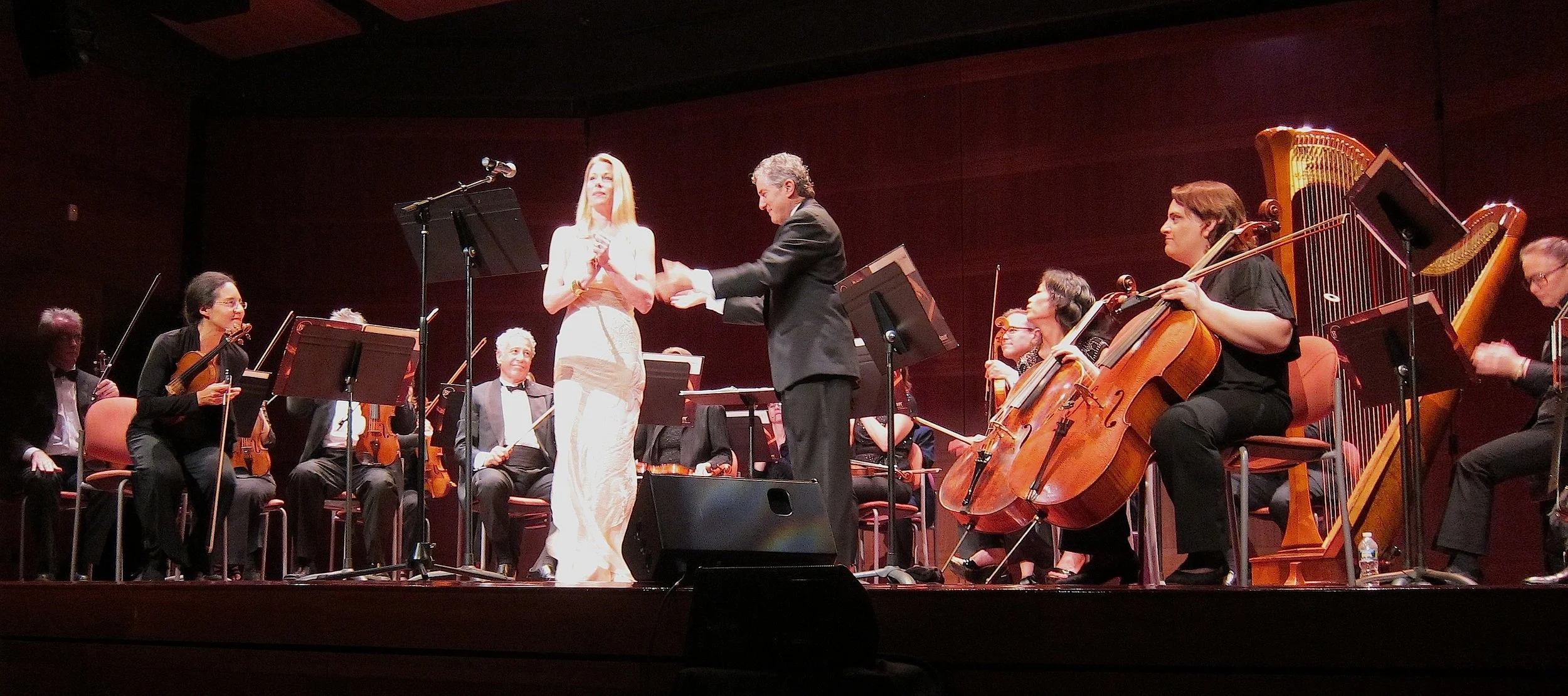 2012Marin Mazzie MJH 061112 copy.jpg