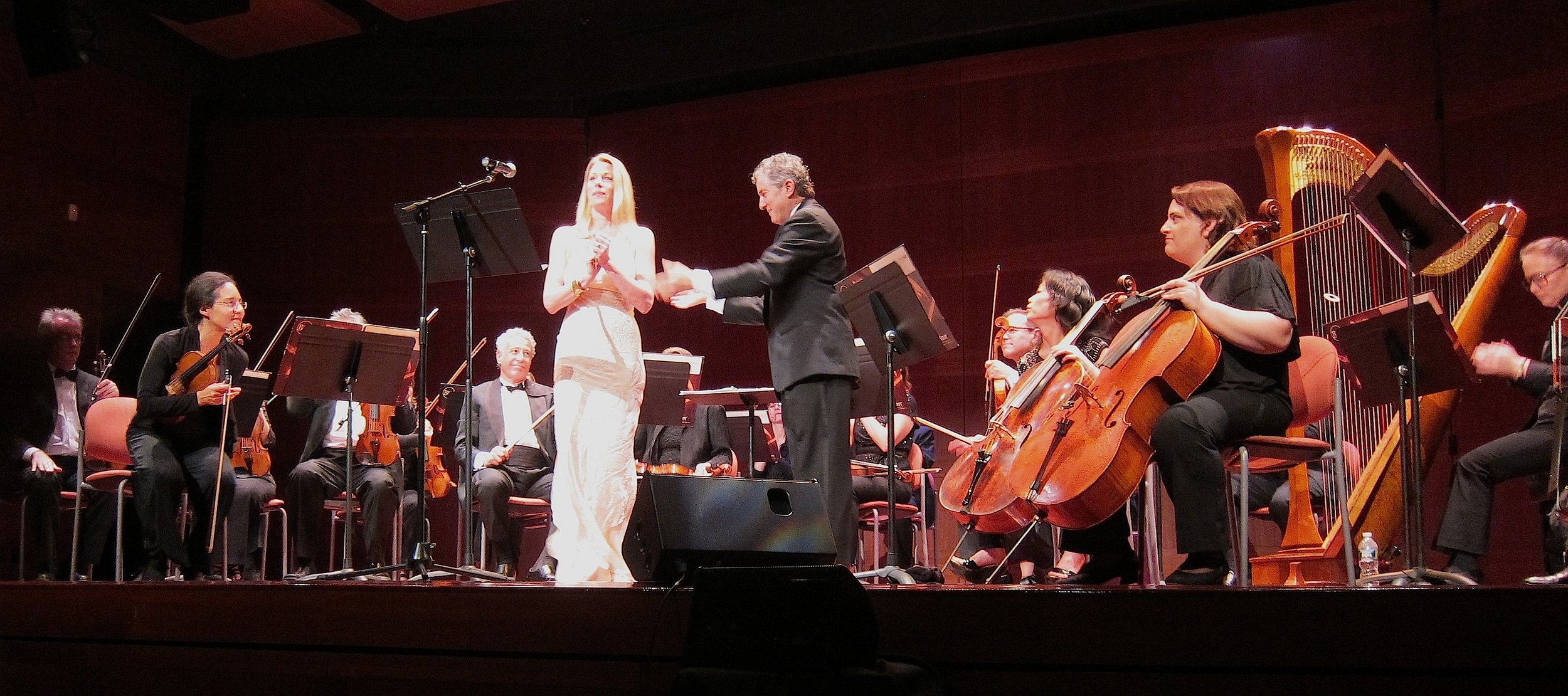 2012: Marin Mazzie