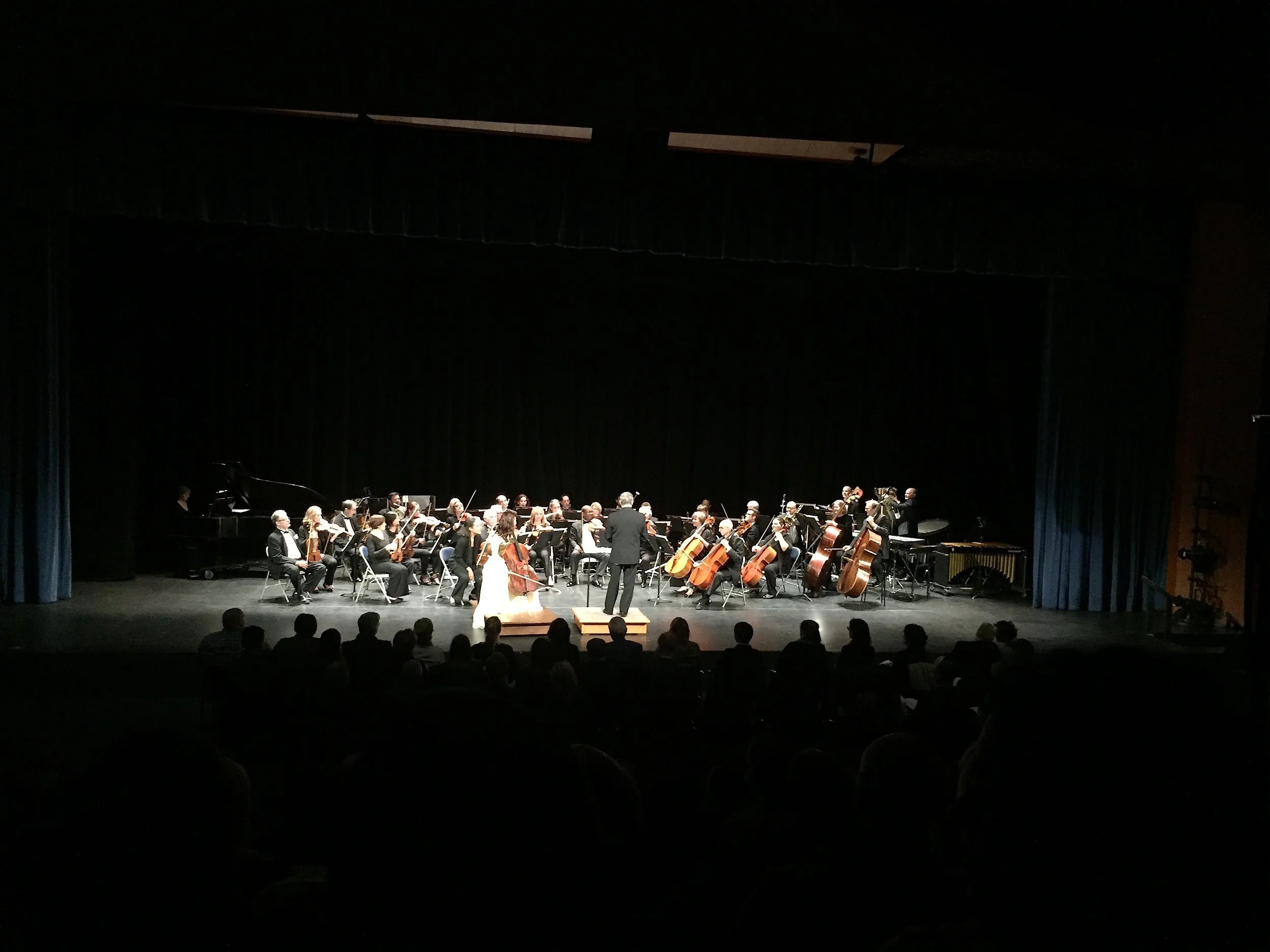 2016SupremeJusticeorchestraChristineKim copy.JPG