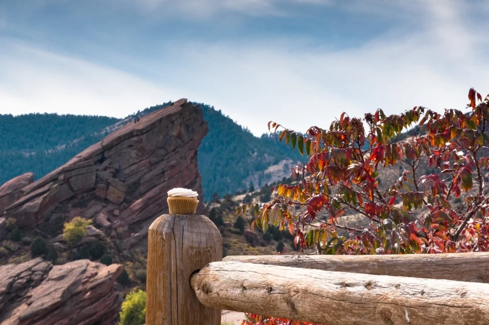 Cupcake Fall Colors.jpg