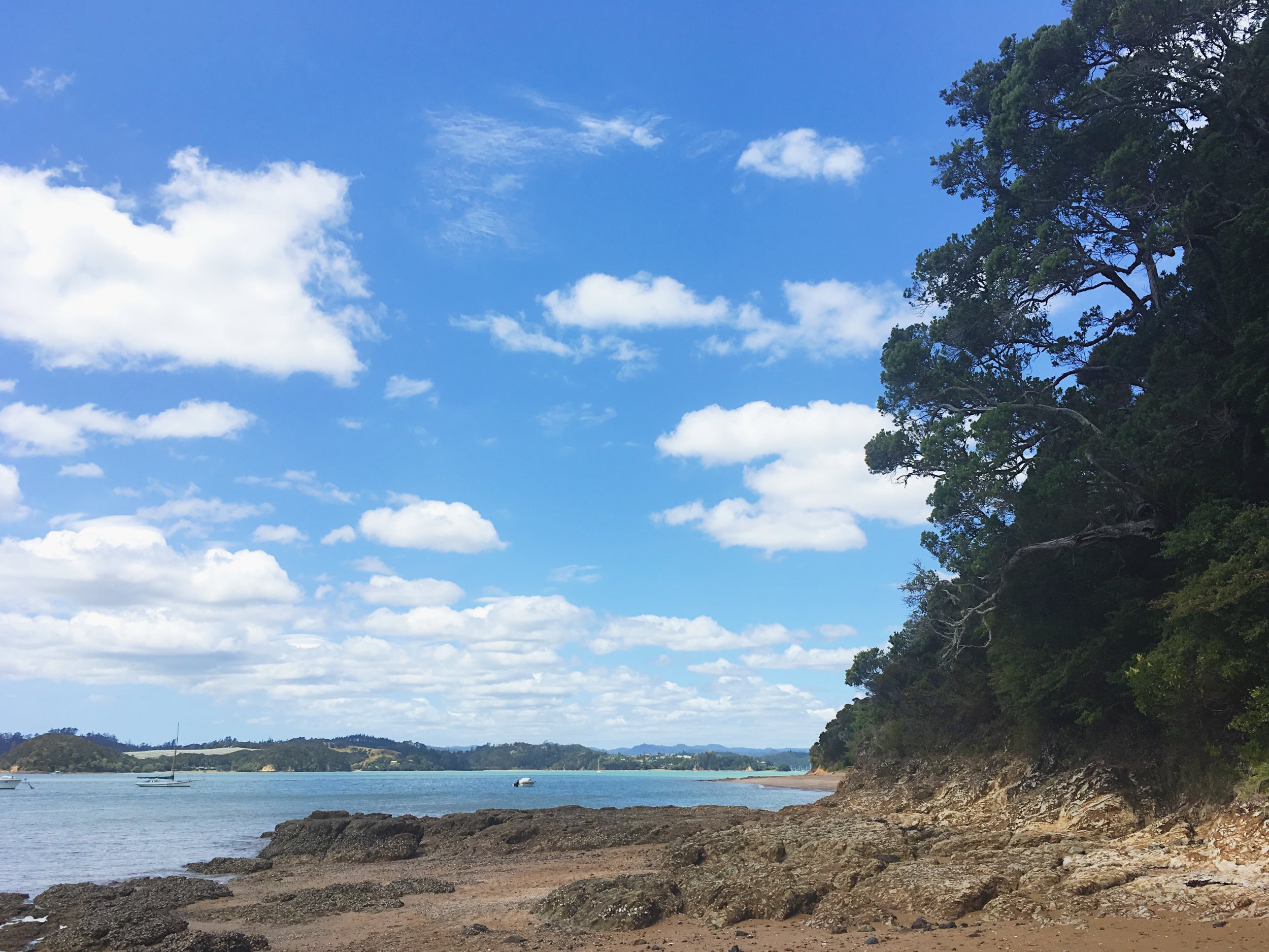 On the way from Paihia to Opua.