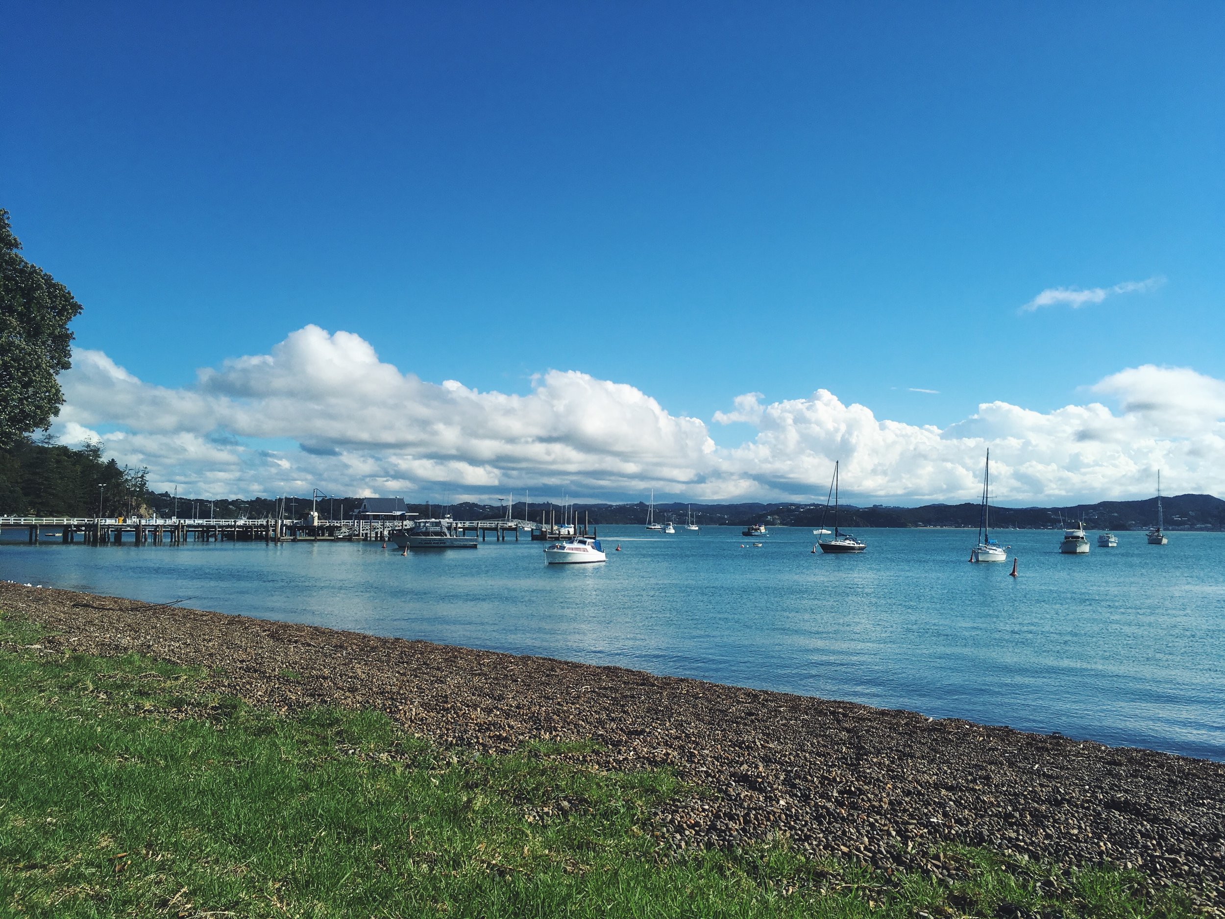 Archivo 3-4-17 20 02 20.jpeg