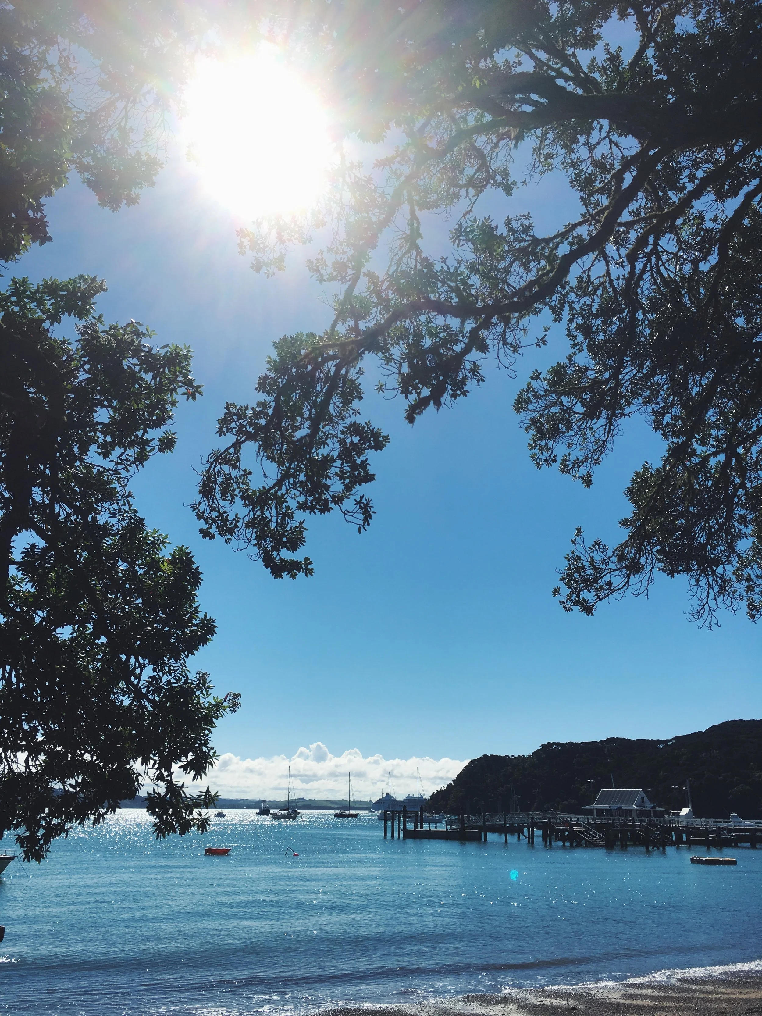 Archivo 3-4-17 20 02 35.jpeg