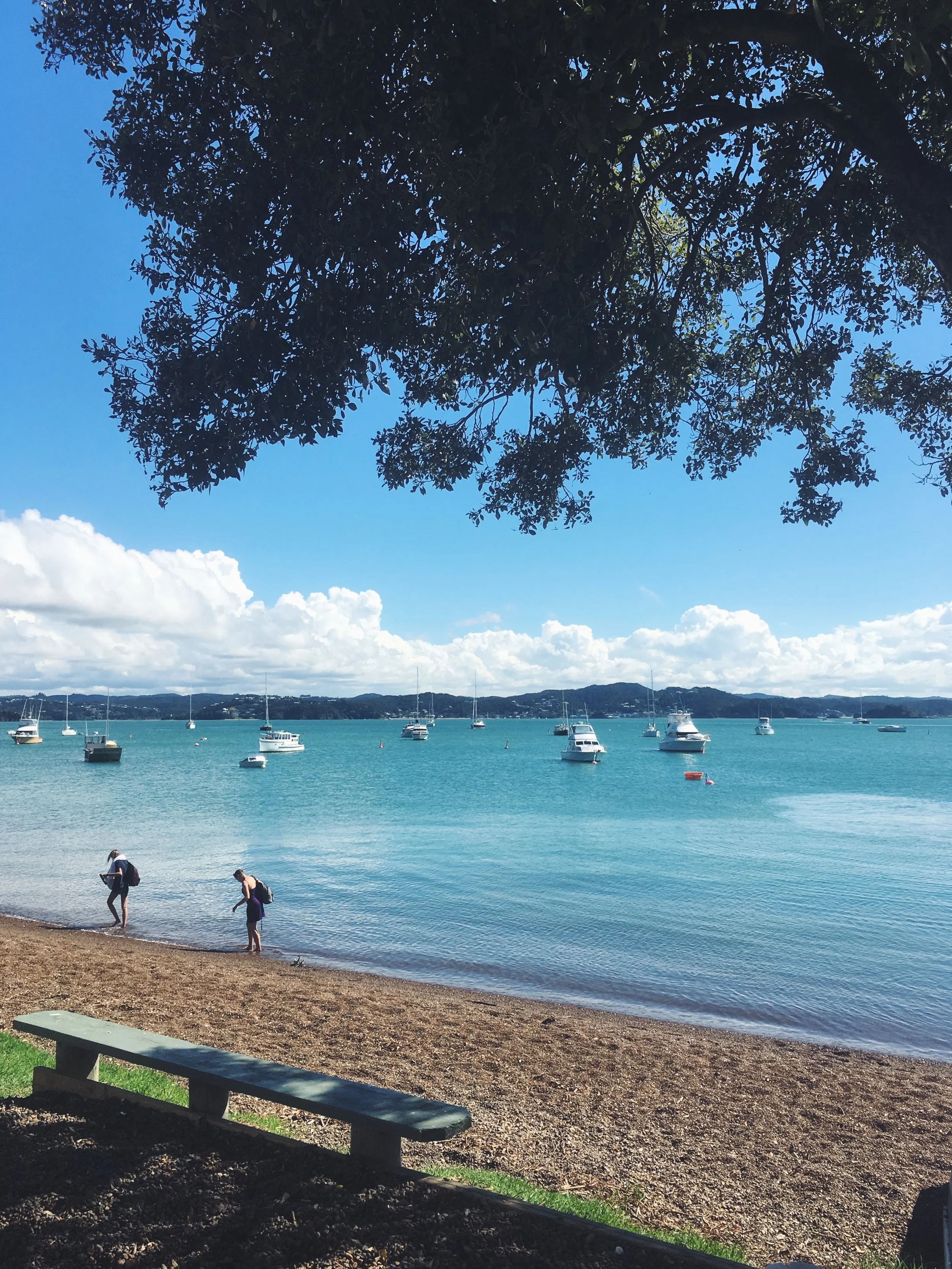 Archivo 3-4-17 20 02 48.jpeg