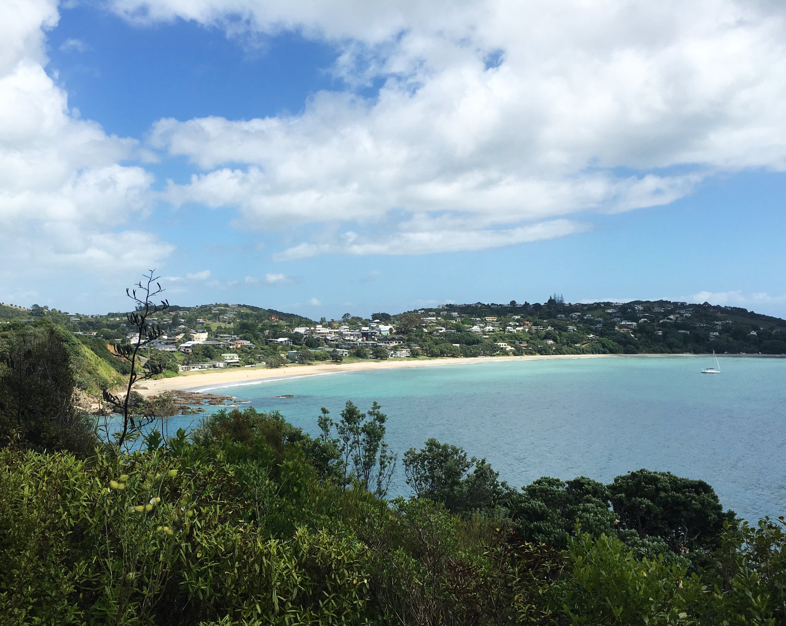 Archivo 3-19-17 11 19 12.jpeg