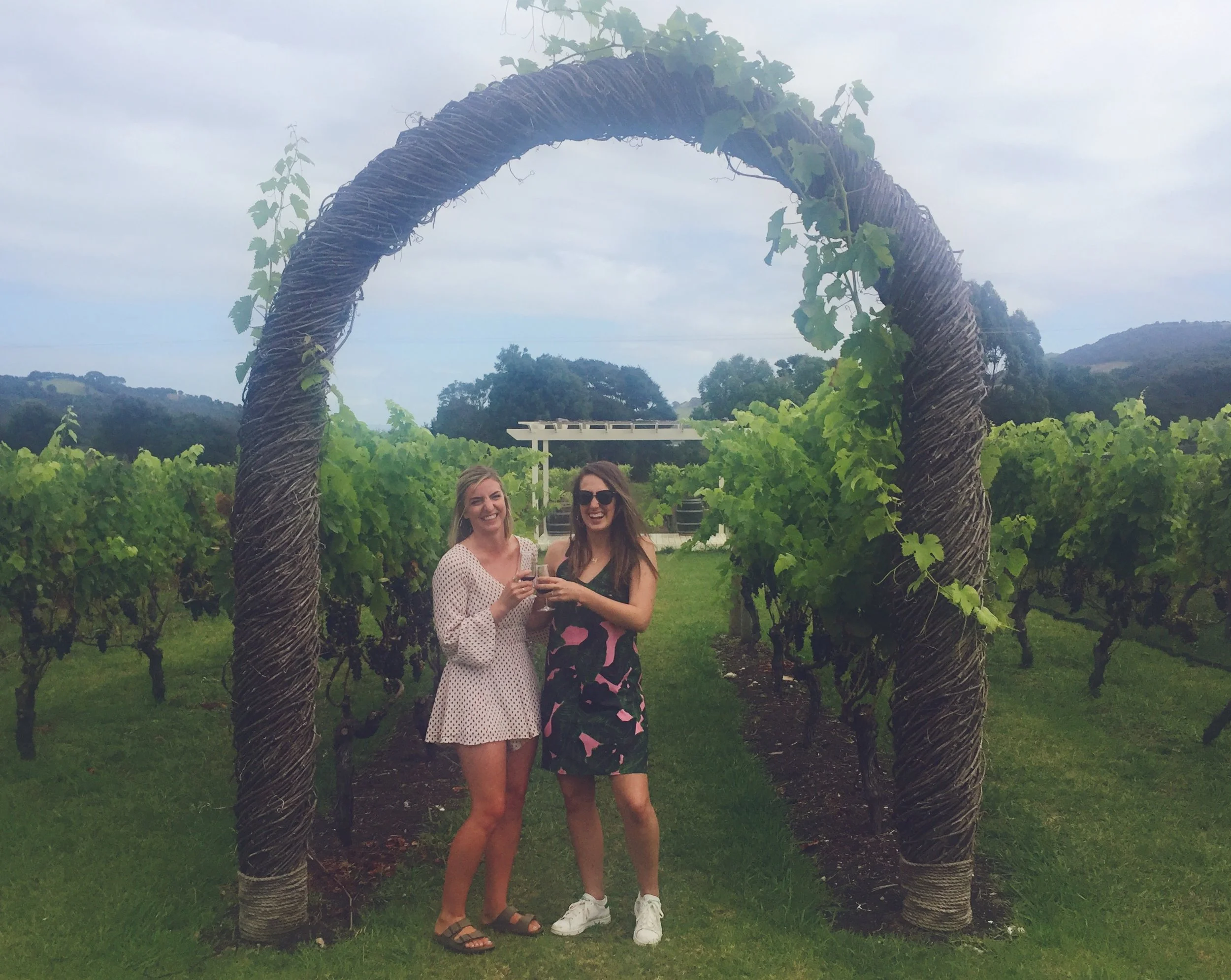 Archivo 3-18-17 12 01 12.jpeg