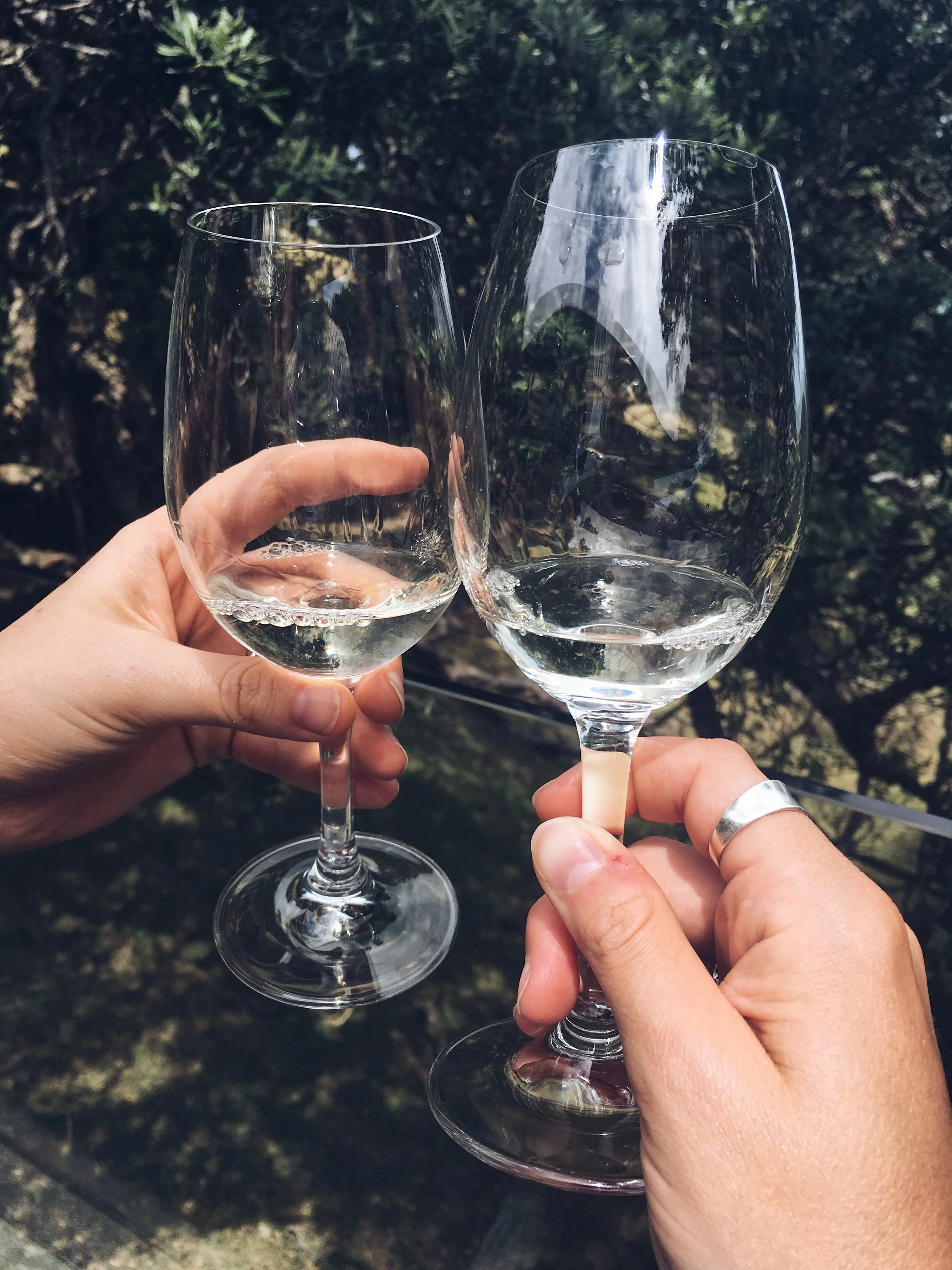 Archivo 3-18-17 12 00 04.jpeg