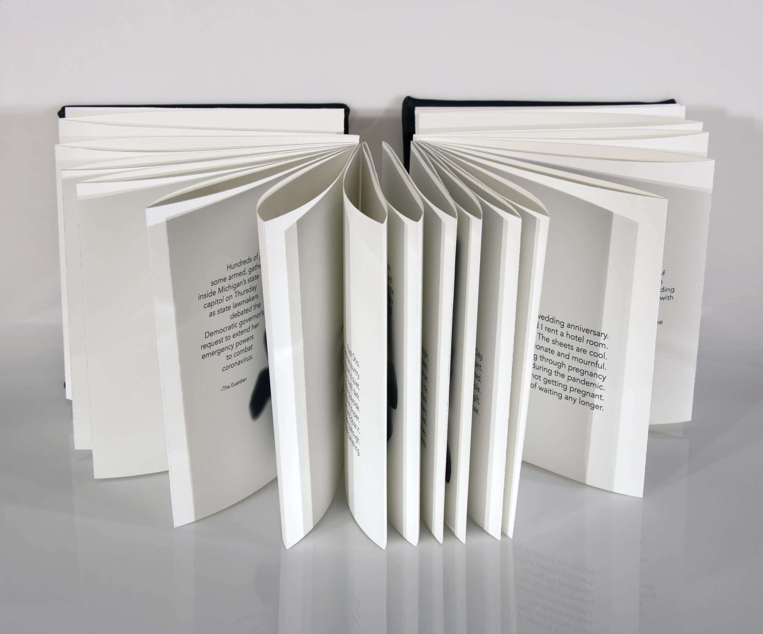 WholeBook1.jpg