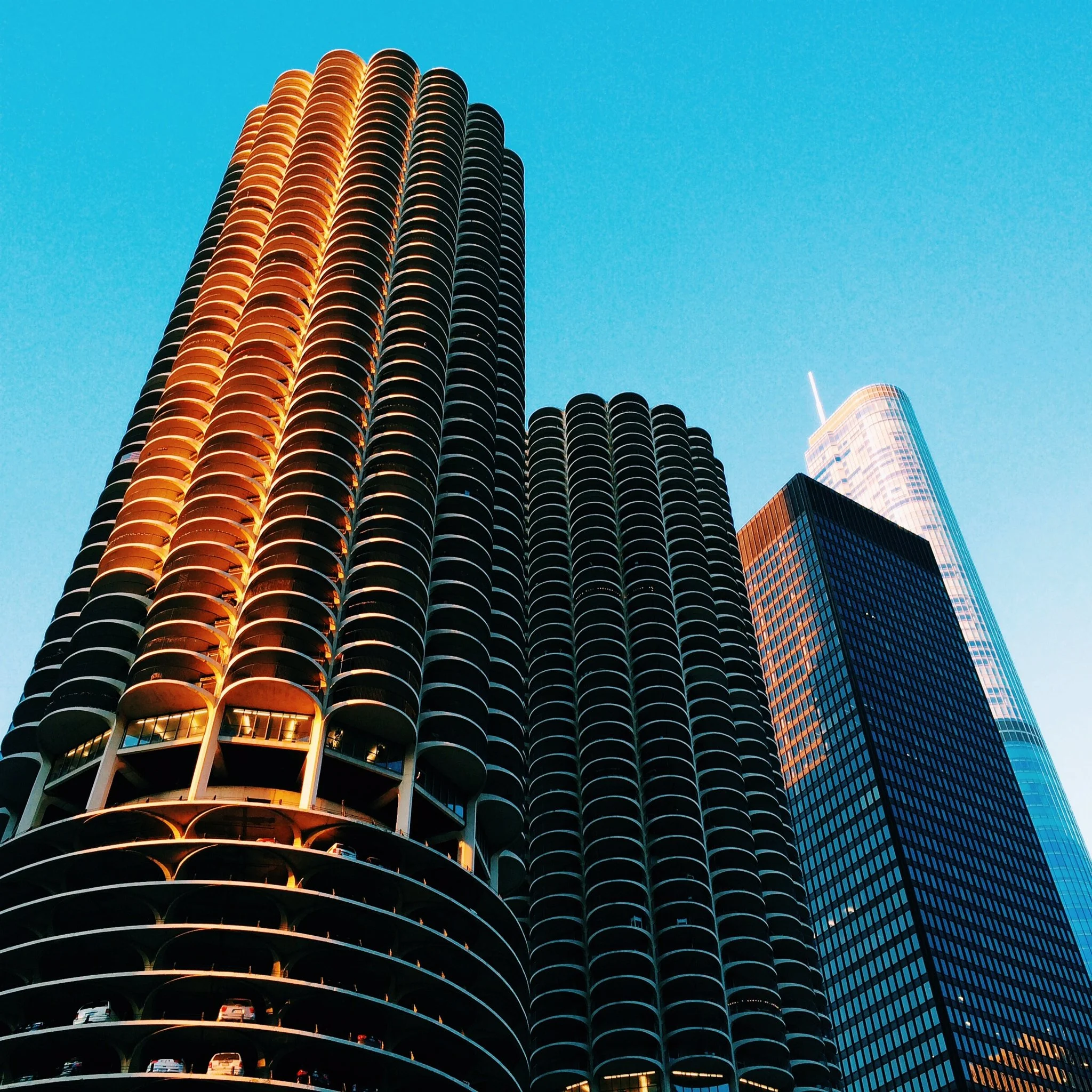 lam_honeycomb i'm home.jpg