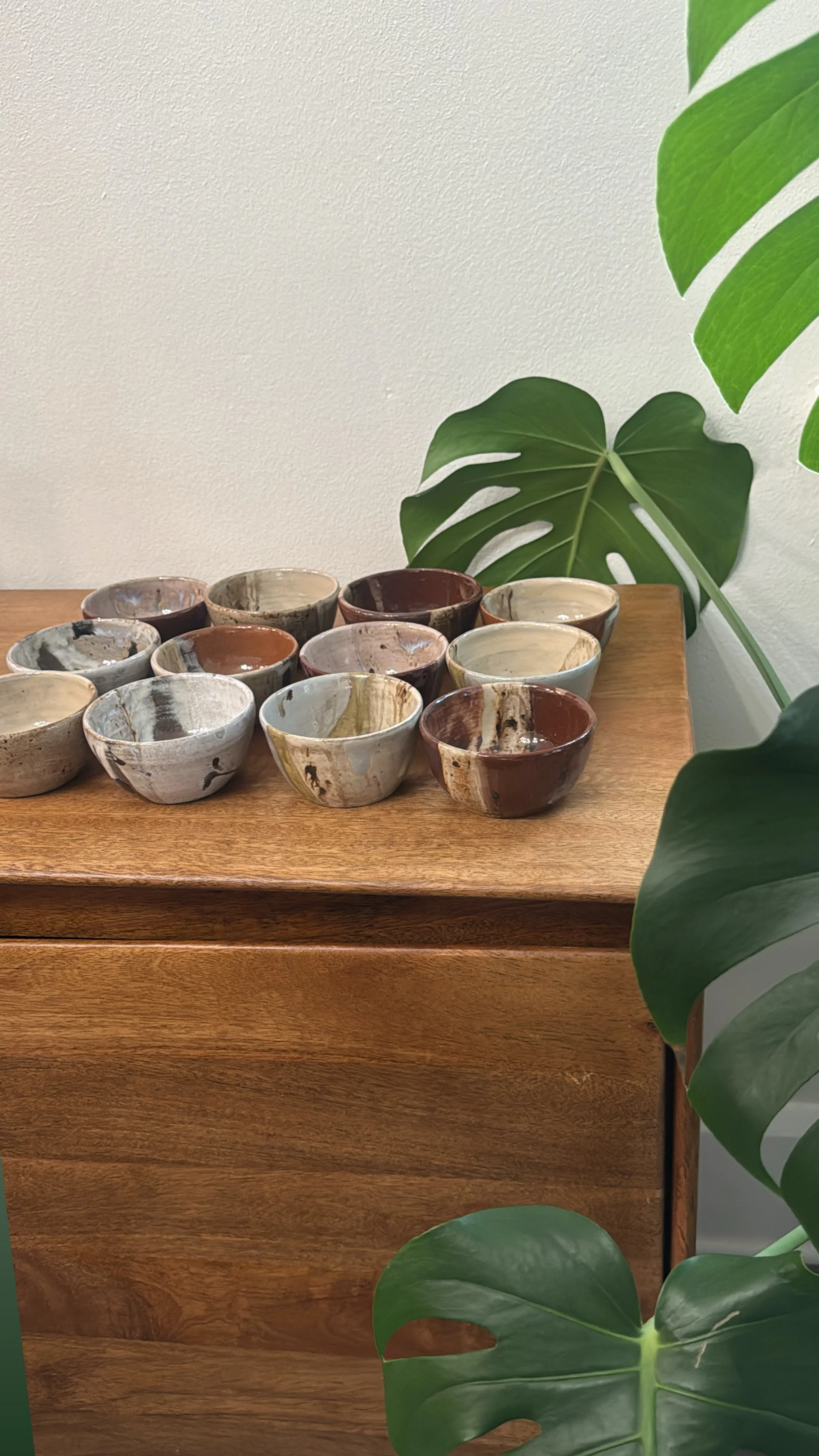 75784936-A87C-47A1-9E80-00364A517E5A.JPG (Copy)