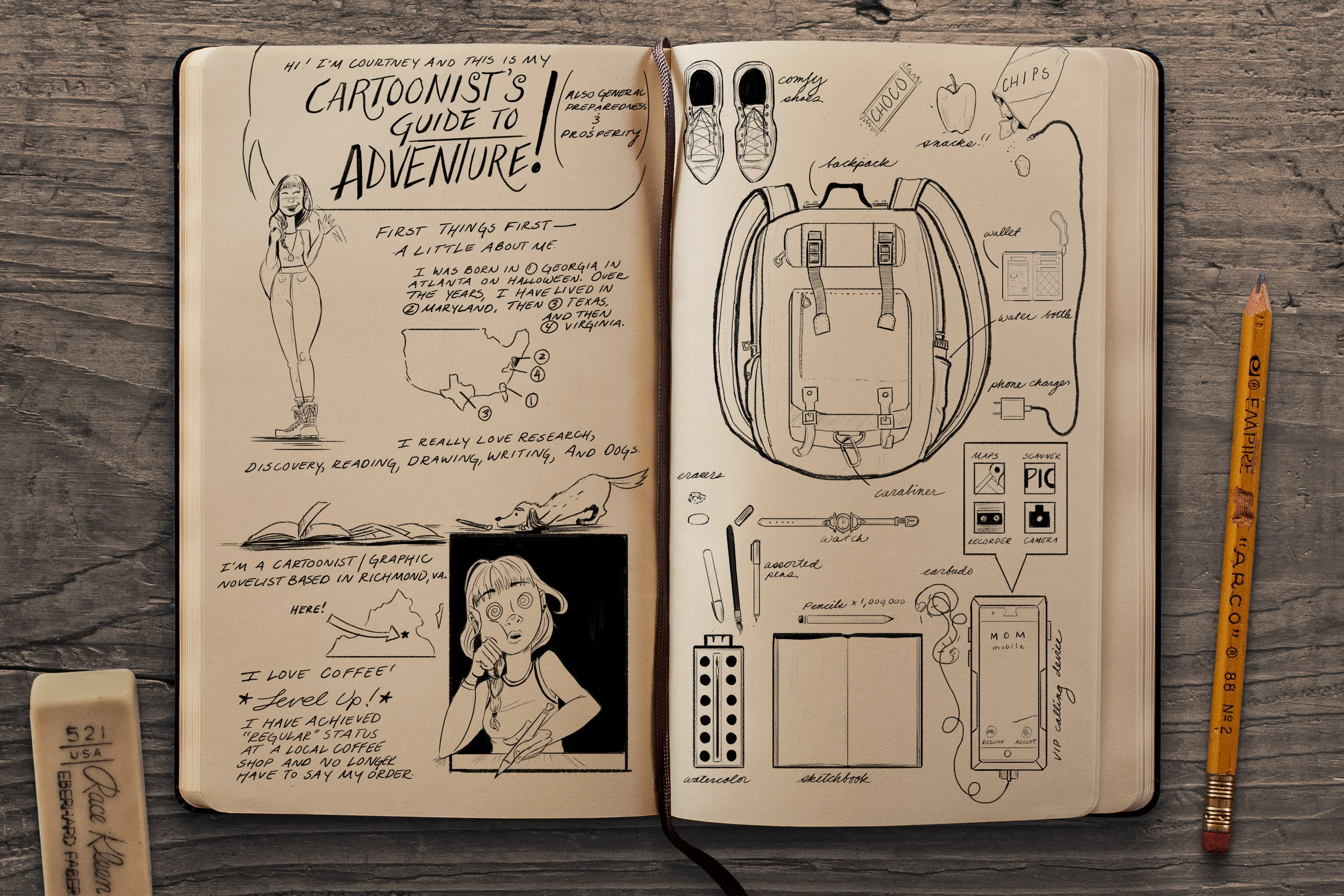 The Cartoonist's Guide to Adventure