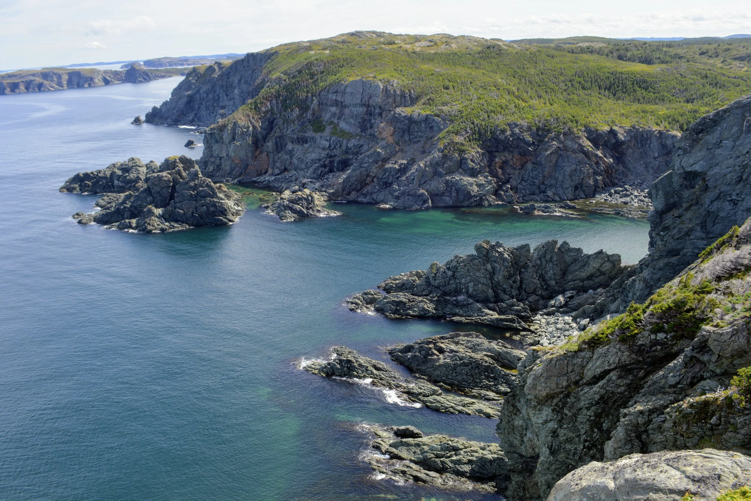 Newfoundland Twillingate — RachiePie