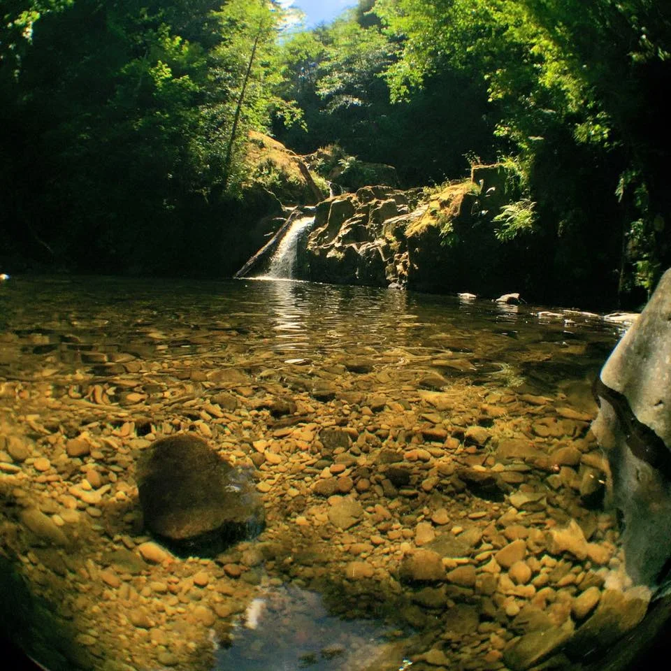 creek rocks.jpg