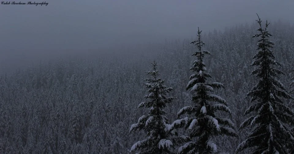snowy willamette pass.jpg
