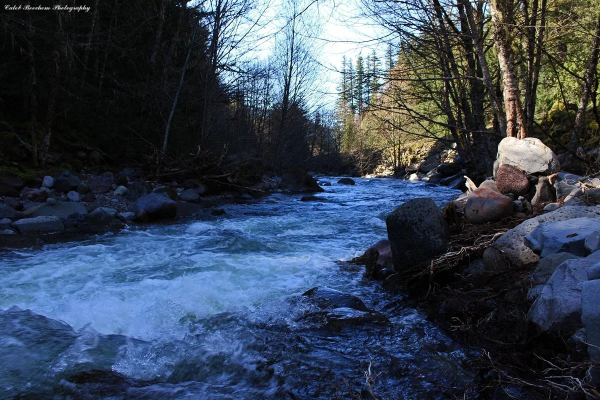 051515lazyrapids.jpg
