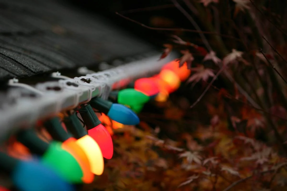 christmas lights.jpg