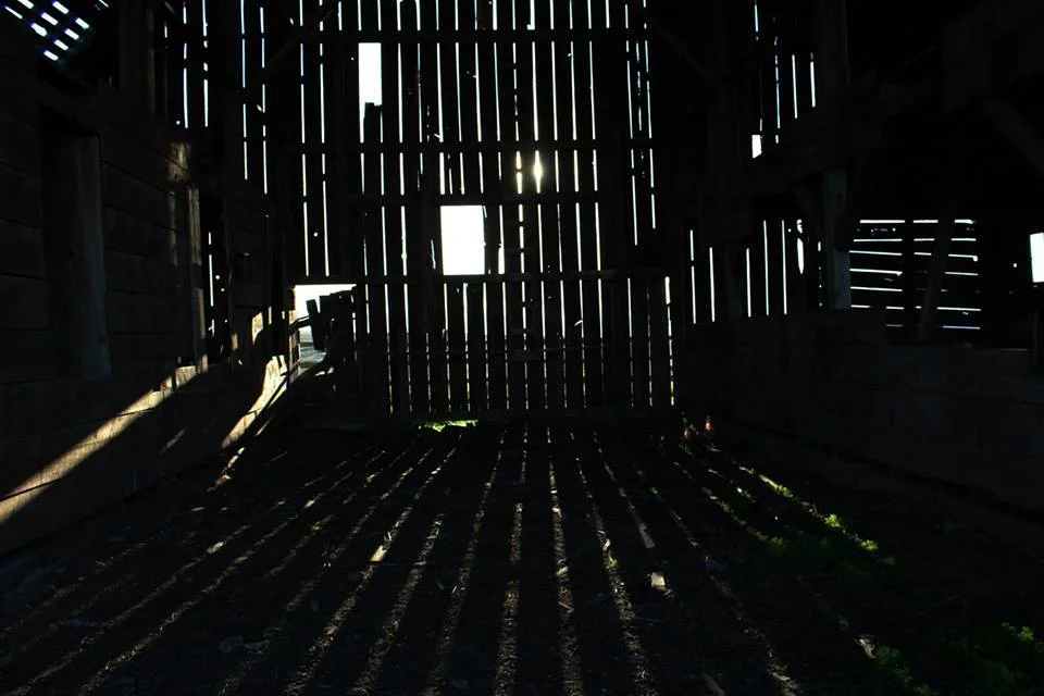 051515woodslatsandshadows.jpg