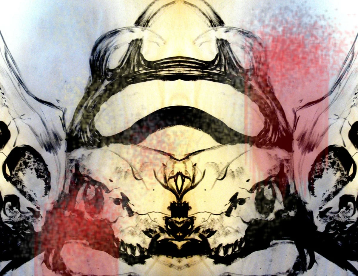 backgroundskulls2blood+copy.jpg
