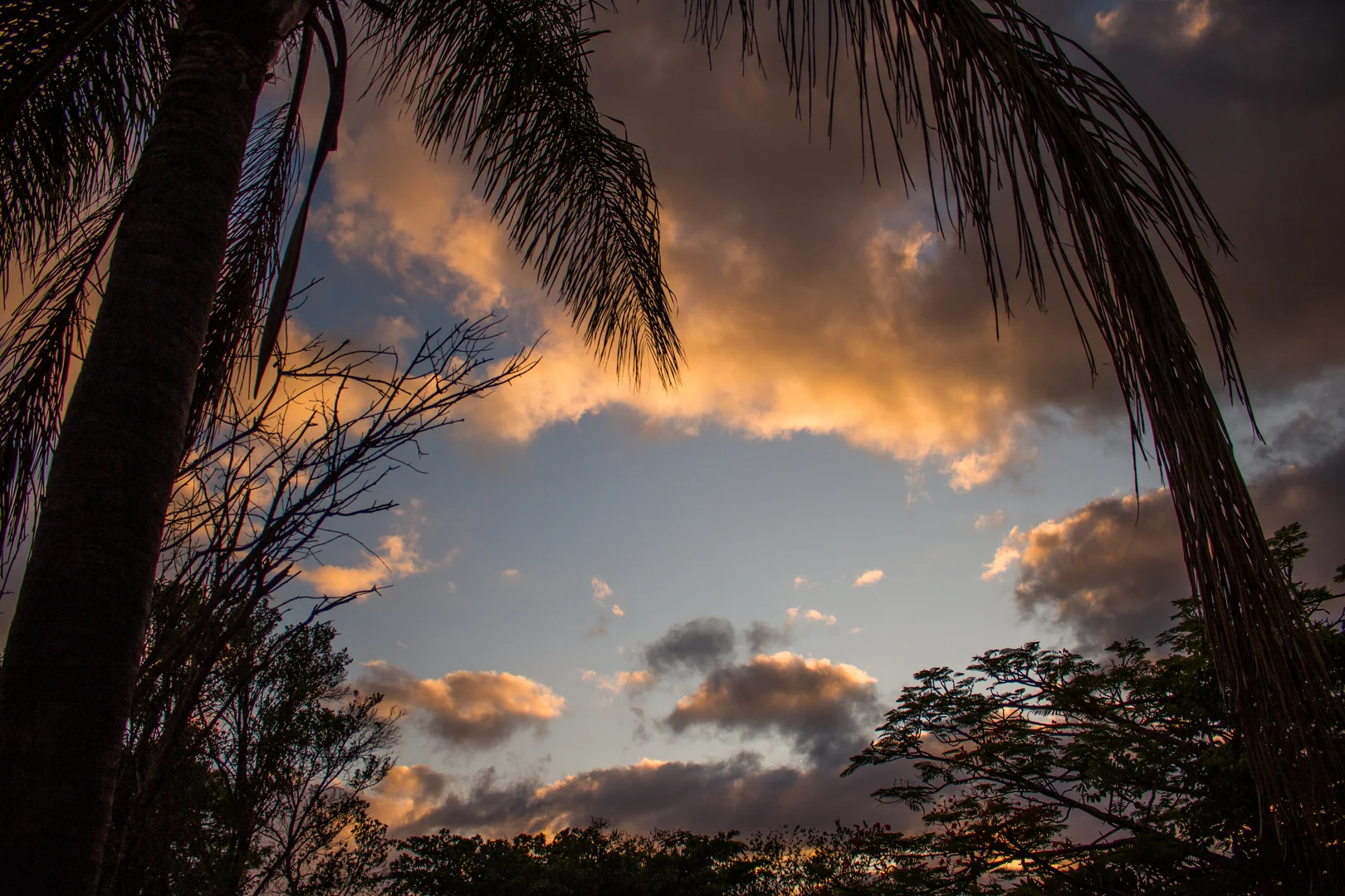 Summer Sunset.jpg