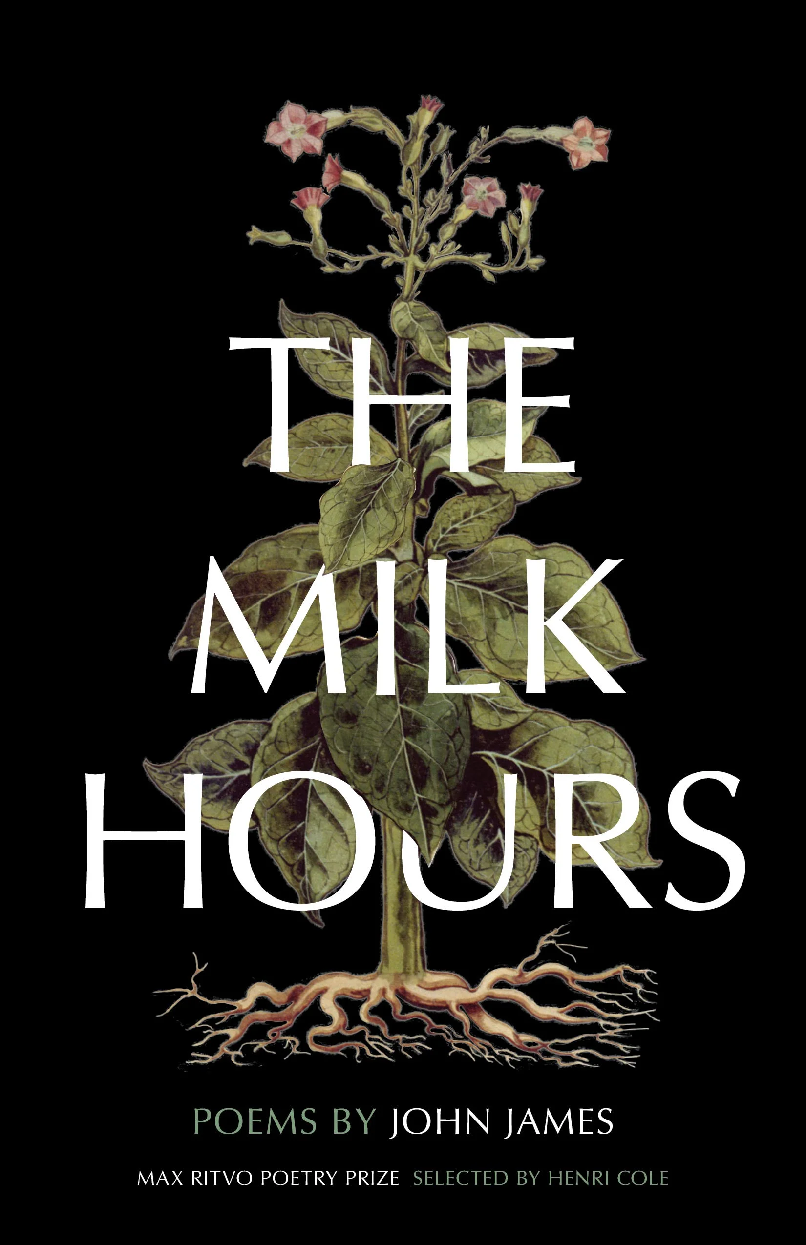 The Milk Hours.jpg