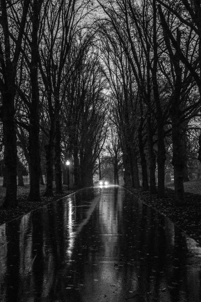 Lonely Street