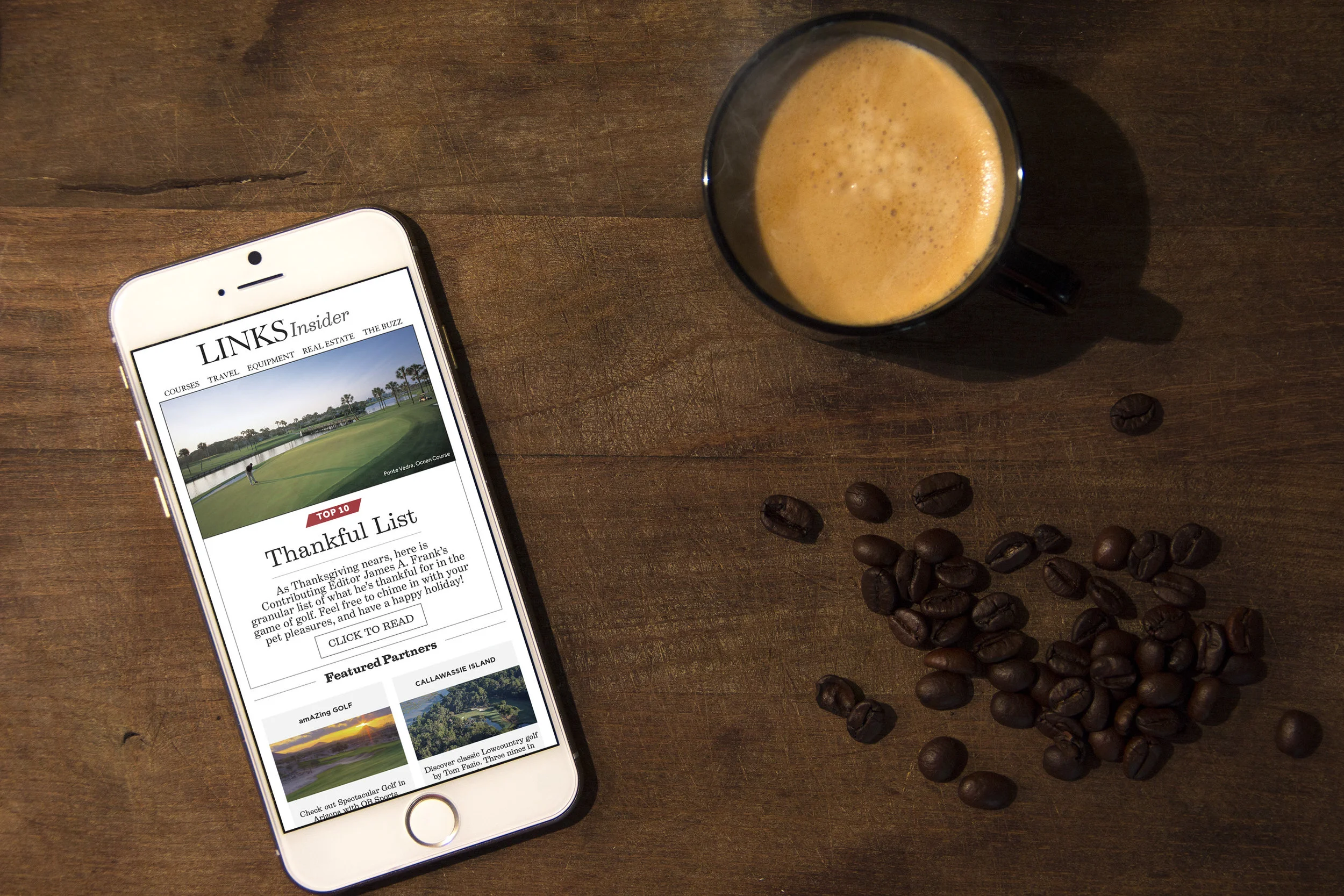 LINKS Newsletter Template