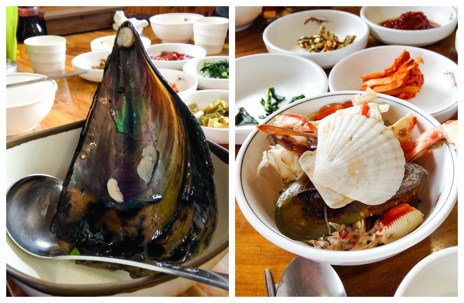 I still can't get over how massive this mussel was! "No Crustacean Left Behind 2k14"