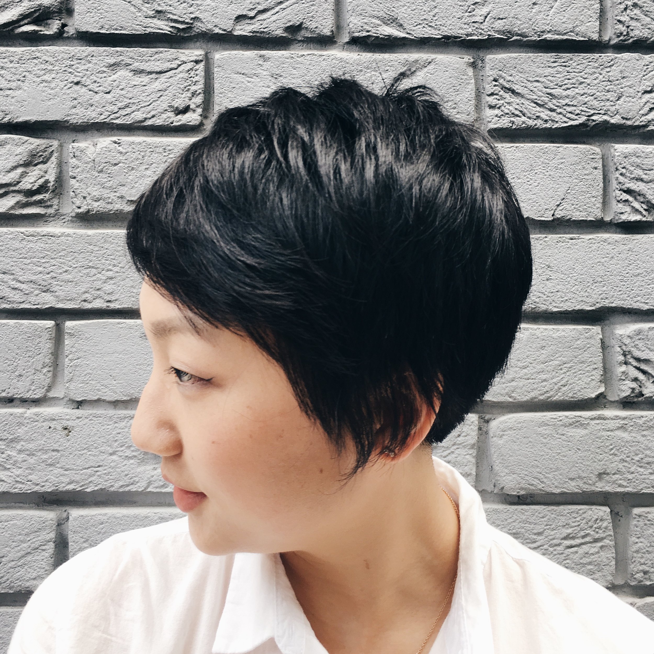 Short Hair Myths: DEBUNKED — Lia Lee Short Hair Myths: DEBUNKED — Lia Lee