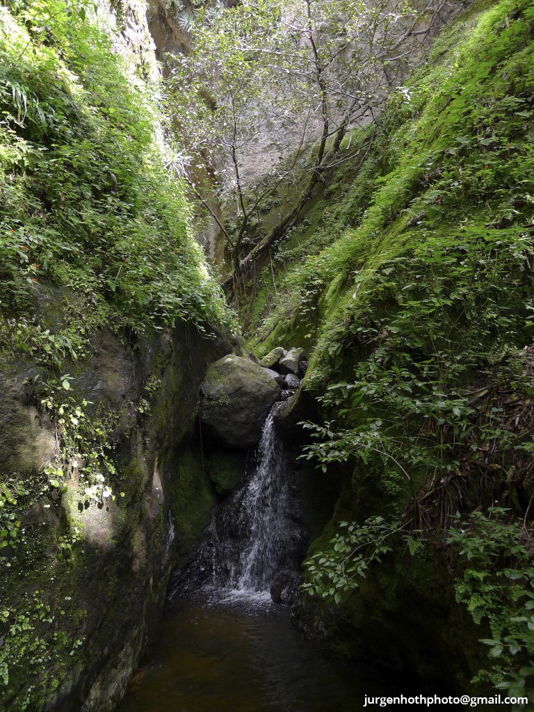 2011 09 18 Tepoztlan JHoth edit.jpg