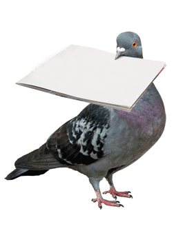 pigeon mail.jpg